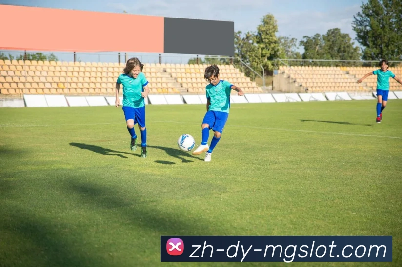 MG电子官网平台生态图