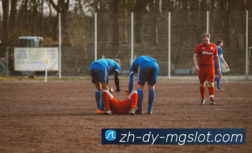 MG电子官网APP 封面图